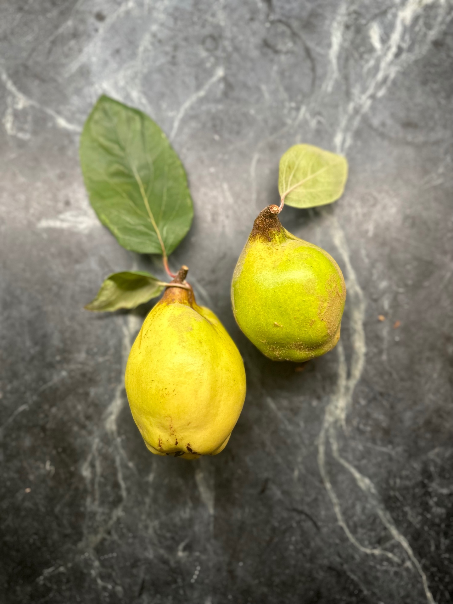A pair of quinces with leaves on a stone surface