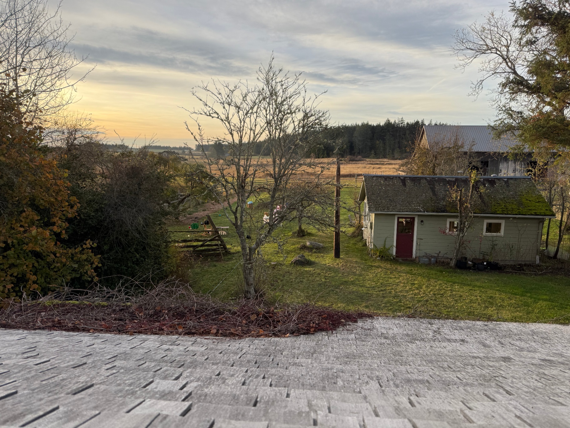 The farmhouse and fields at sunset, seen from the rooftop
