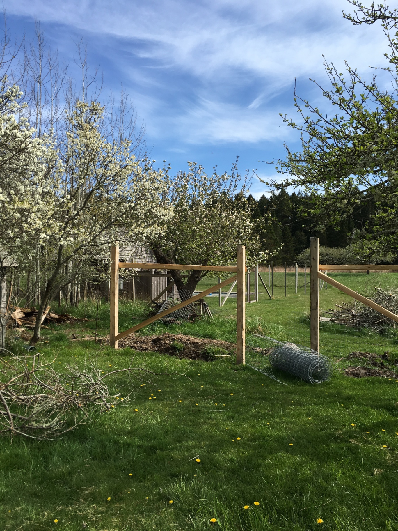 The orchard gate